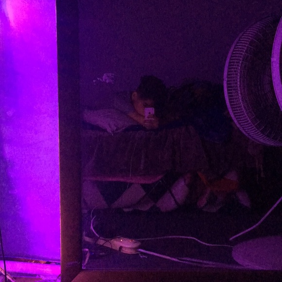 Meet your Posher, Peter - Picture 1 of 1